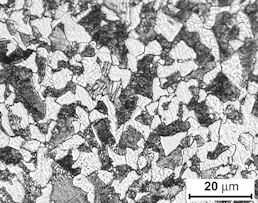 Initial microstructure